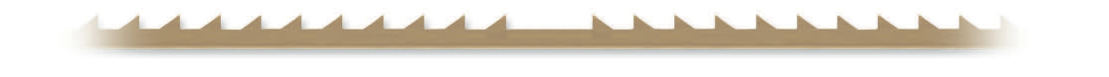 dovetail progressive 1